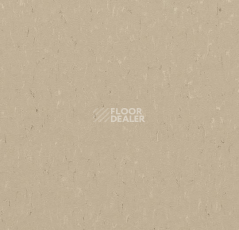 Линолеум Forbo Marmoleum Solid Piano 3630-363035 angora фото 1 | FLOORDEALER